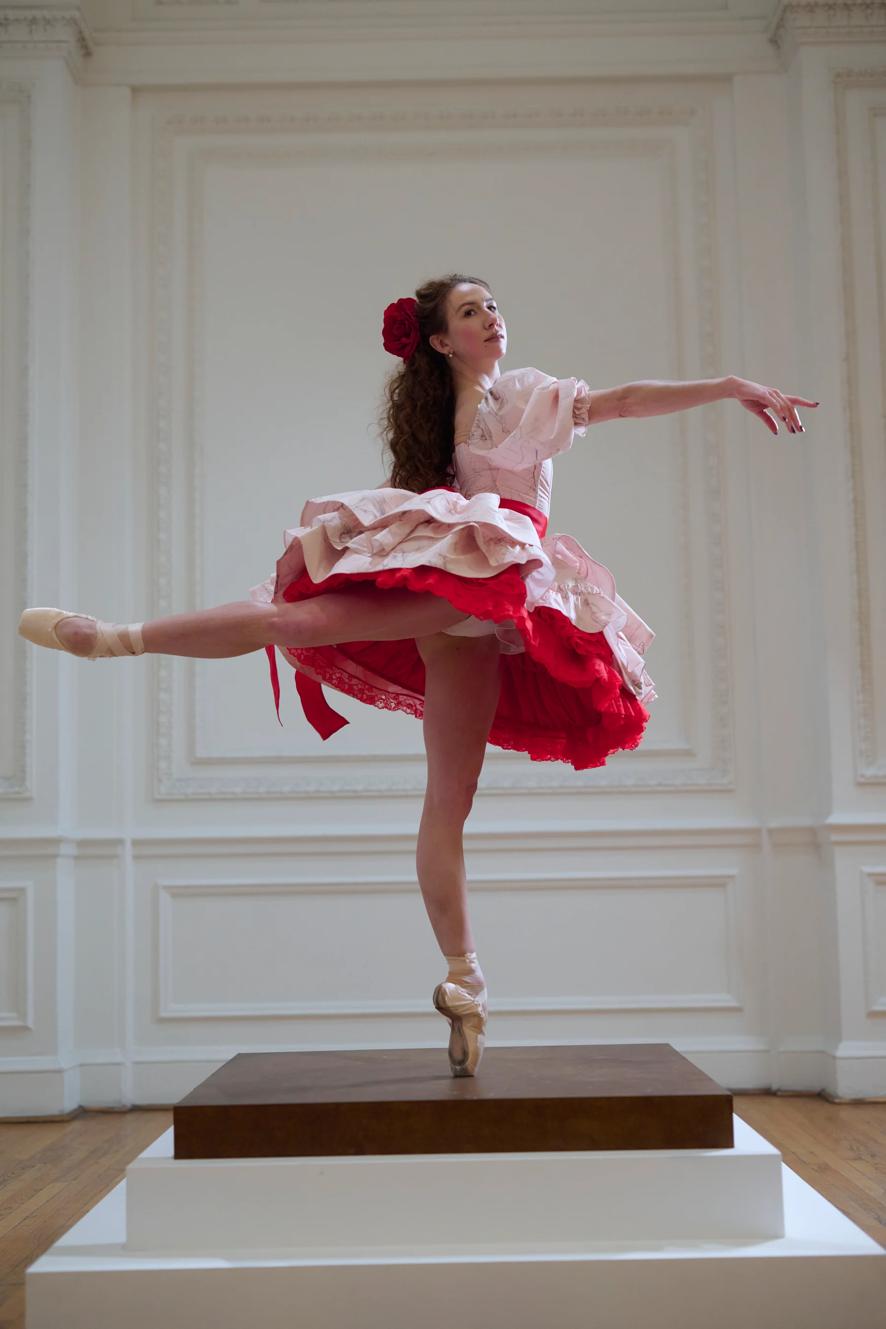 The Sketch Etoile Dress - Image 6